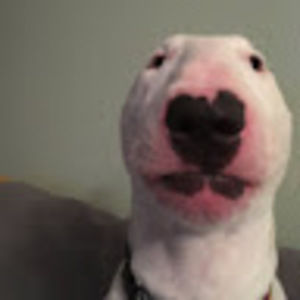 Meet your Posher, Omar